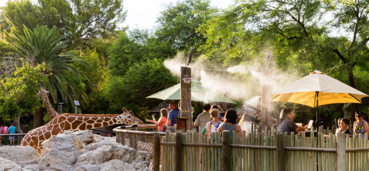 summer-safari-reid-park-zoo-tucson