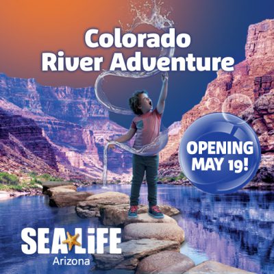 640x640_cra_no-button