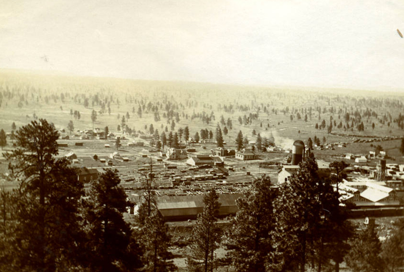 Arizona-Lumber-Milton