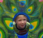 Peacock-Bird-Cloud-Island