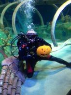 pumpkin-carving-underwater-sea-life-vertical