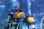 sea-life-underwater-pumpkin-carving
