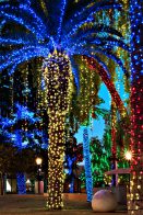 MurphyParkLights-GlendaleGlitters