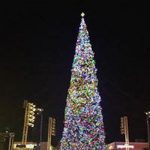 Outlets at Anthem Tree