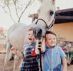 arabhorse-farm-tours-scottsdale