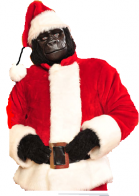 gorilla-claus-flip-dunk-sports