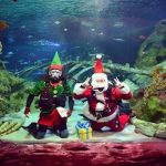 santa-dive