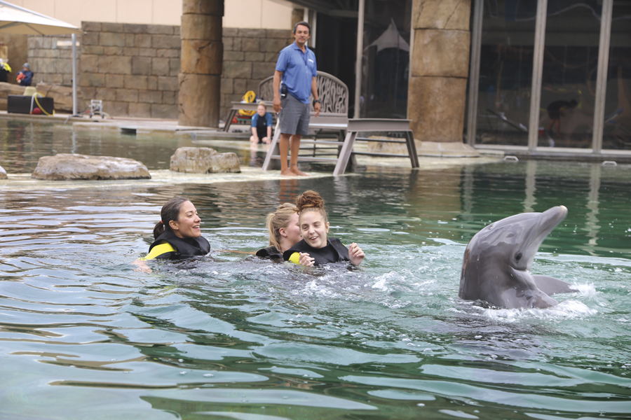 Sea STAR, Dolphinaris, Scottsdale, special needs