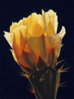 01-Ed-Mell_Desert-Royalty