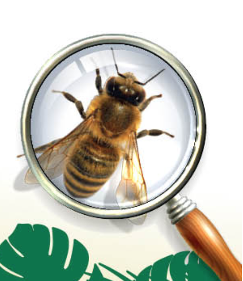 butterfly-wonderland-bugfest