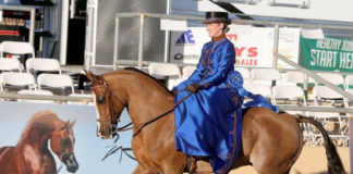 Scottsdale Arabian Horse Show