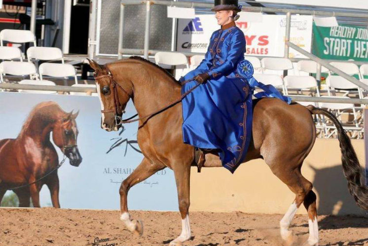 Scottsdale Arabian Horse Show