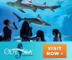 OdySea-Tile-180615