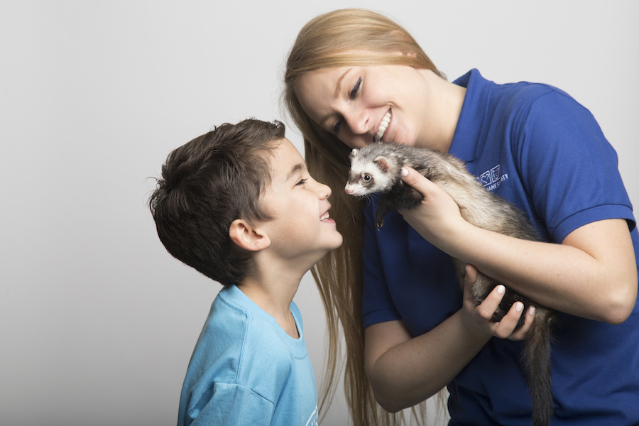 Arizona_Humane_ferret