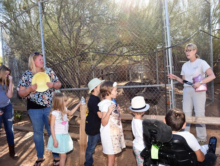 southwest-wildlife-conservation-tours