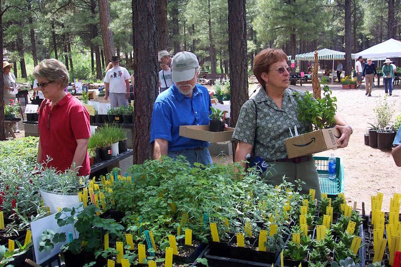Arboretun at Flagstaff plant sale