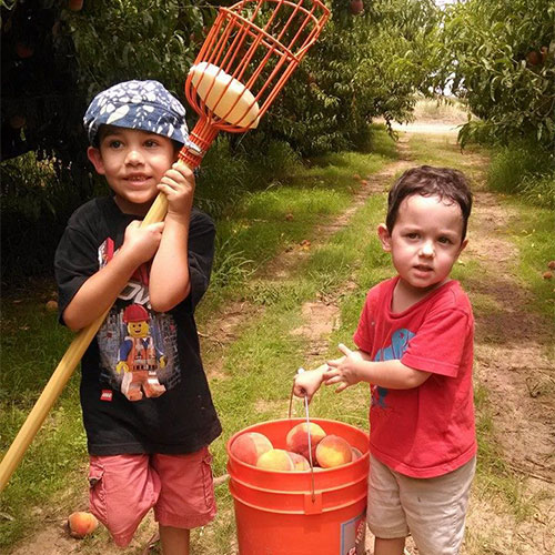 Apple Annies – peach mania