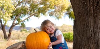 Mortimer Farms, pumpkin festival, corn maze