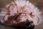 SleepingBeauty-Ballet-Arizona