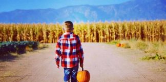 Apple Annie's Orchard, Fall Pumpkin Celebration, Willcox, Arizona