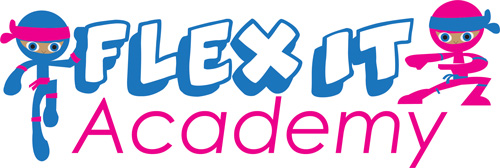 flex-it-academy-logo