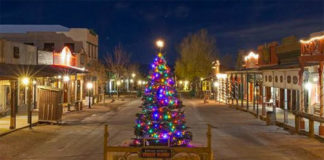 Tree Lighting Ceremony