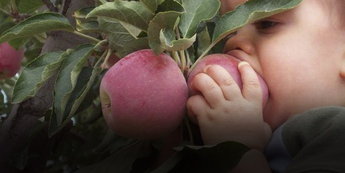 0918-teaser-apple-annies