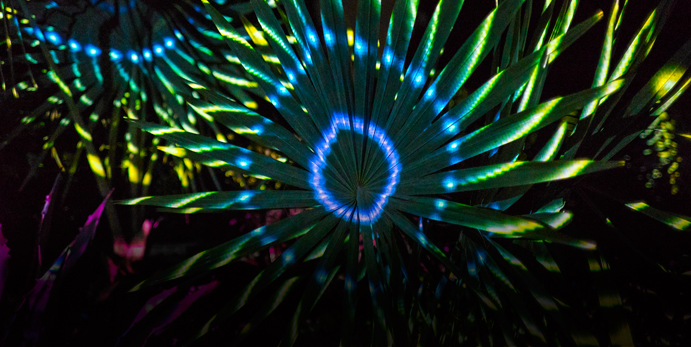 1810-teaser-ElectricDesert