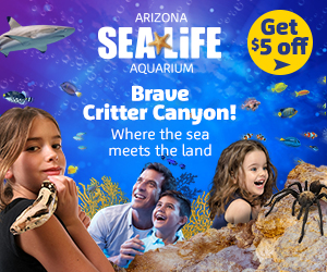 25332-banner-ad_300x250_r1