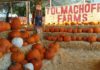 Win tickets to Tolmachoff Farms!