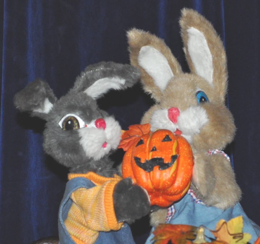 bunny_halloween_crop