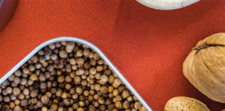 Chiles and Chocolate