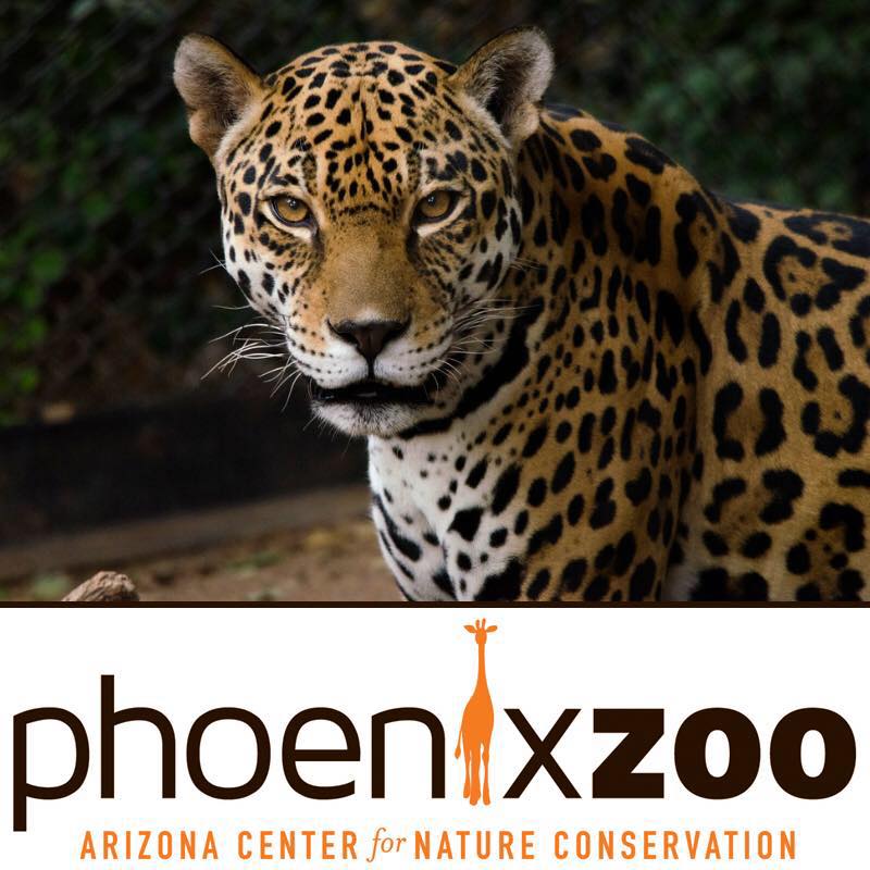 phoenix-zoo-facebook-logo