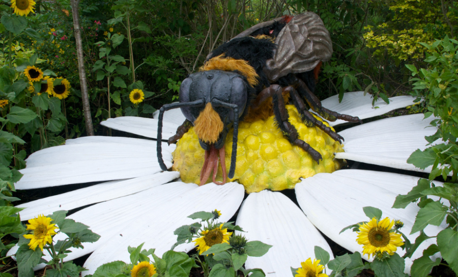 Phoenix Zoo – Big Bugs