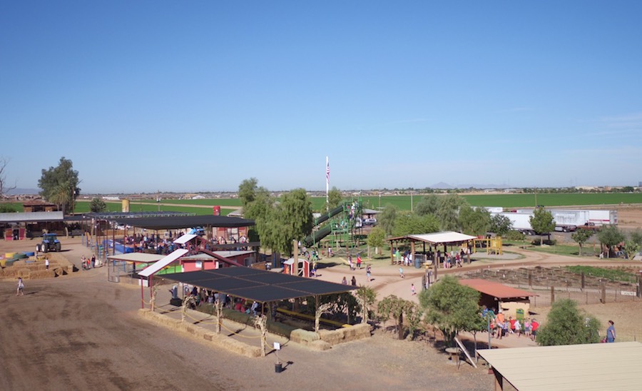 Vertuccio-Farms-pumpkin-patch-fall