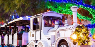 Christmas at the Princess