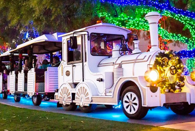 Christmas at the Princess