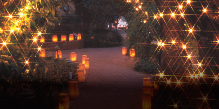 1812-teaser-TucsonBotanical