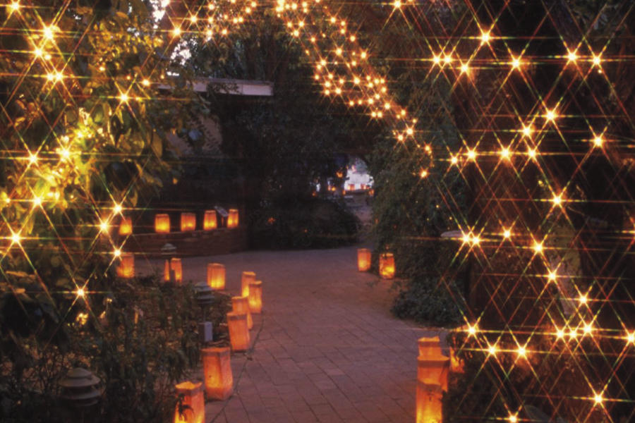 Luminaria-TucsonBotanicalGardens