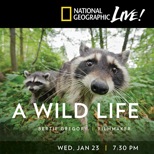 natgeo-a-wild-life