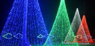 Vertuccio Farms, holiday lights, Mesa