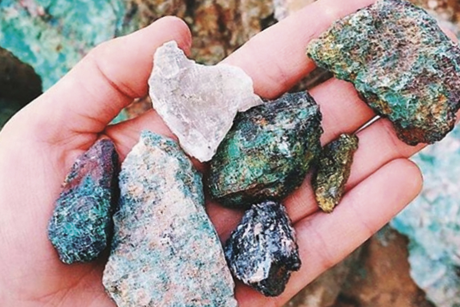 Az-SonoraDesertMuseum