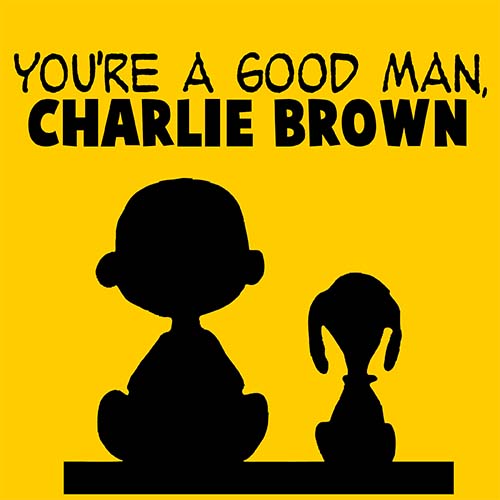 media-box-image-shows-other-presenters-youre-a-good-man-charlie-brown-media-box-20895-image
