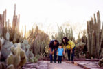 Desert_Botanical_Garden_LauraSegallPhoto