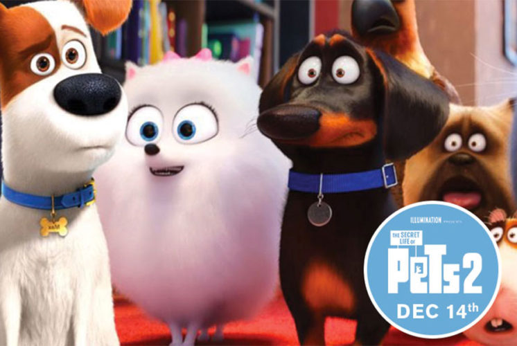 Secret Lives of Pets