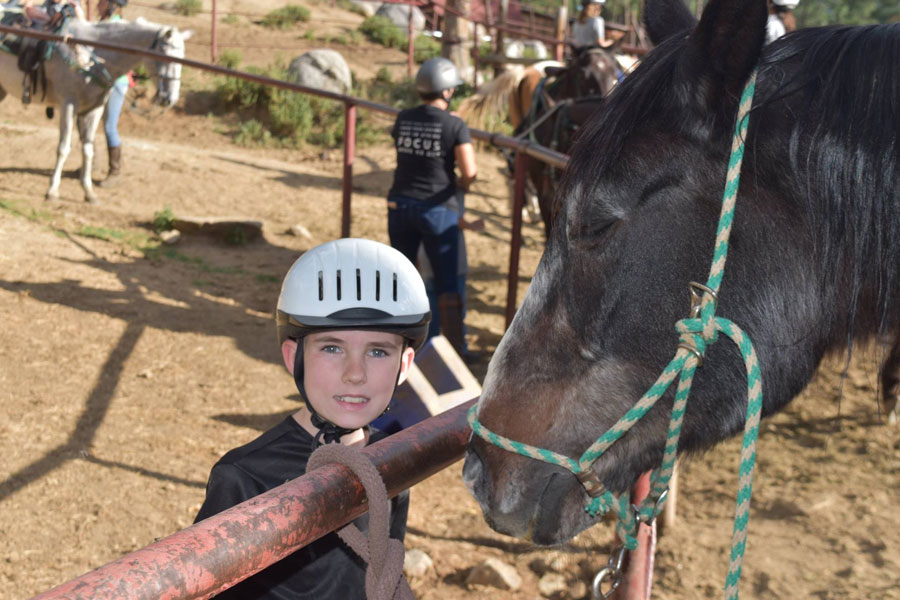 friendly-pines-camp-horses