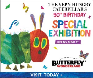 190205_BW-VHC_TileAd-300×250-01_Before March 1