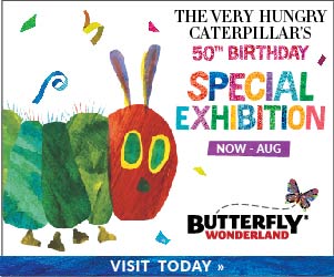 190205_BW-VHC_TileAd-300×250-02_Starts March 1