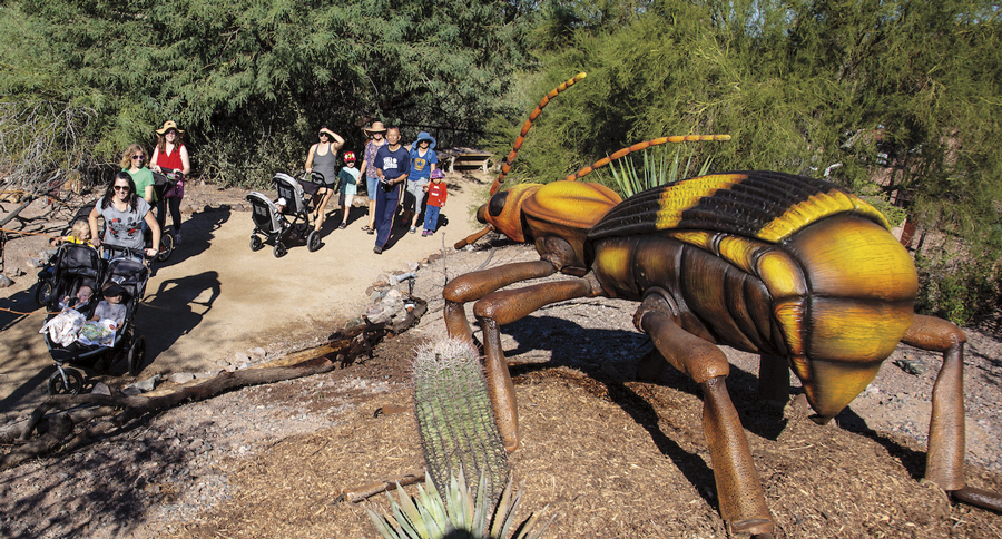 PhxZooBigBugs