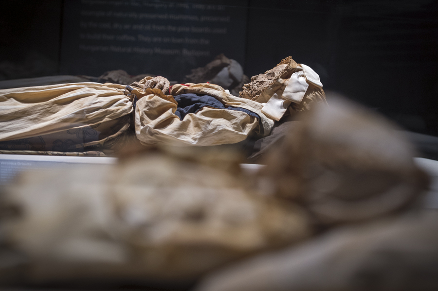 VacMummies-Veronica-Olovits